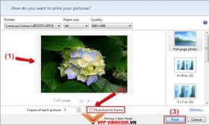 cách in ảnh trên máy tính