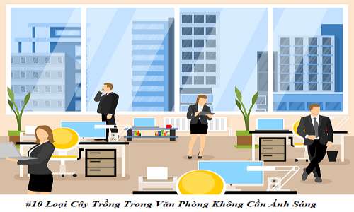 cây trồng trong nhà