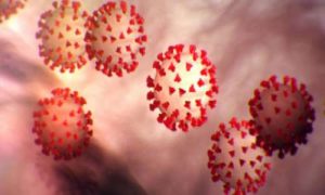 triệu chứng covid 19